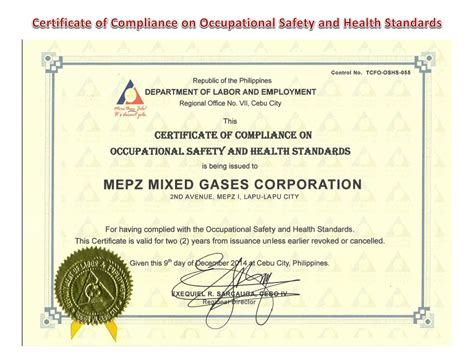 mepz mixed gases corporation|Operations Management of MEPZ Mixed Gases Corporation : Basi.